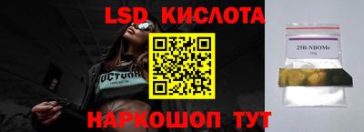 сатива Краснознаменск