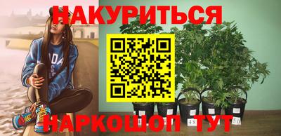 сатива Краснознаменск