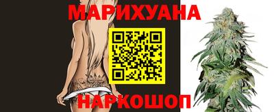 сатива Краснознаменск